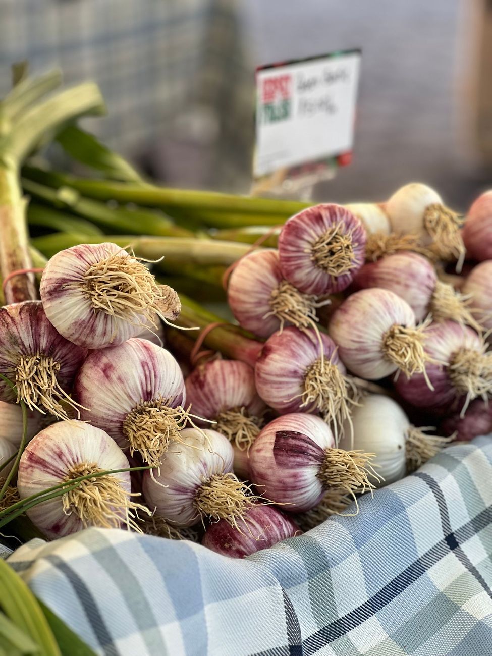Alho roxo num mercado